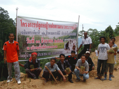 โครงการปลูกหญ้าแฝกตามแนวพระราชดำริ